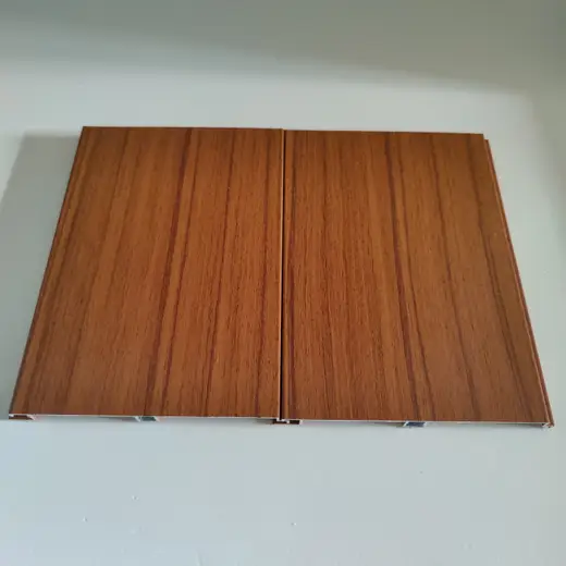 Fachada de aluminio ALUCOM — trabajo ejecutado (foto 48)